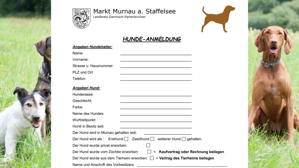Formular der Hundesteuer, im Hintergrund ein 2 Hunde