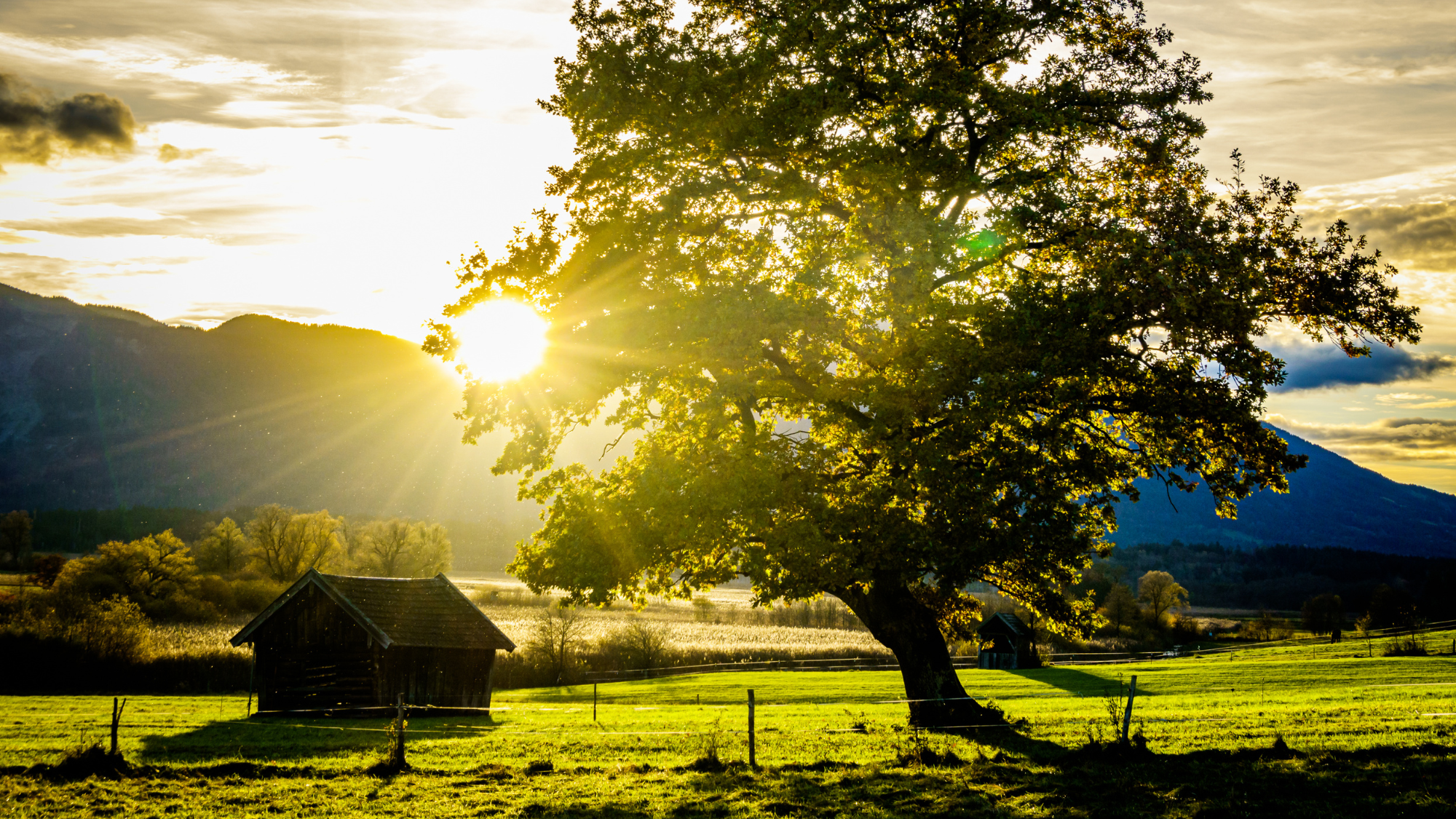 Blick ins Murnauer Moos mit Sonnenuntergang.