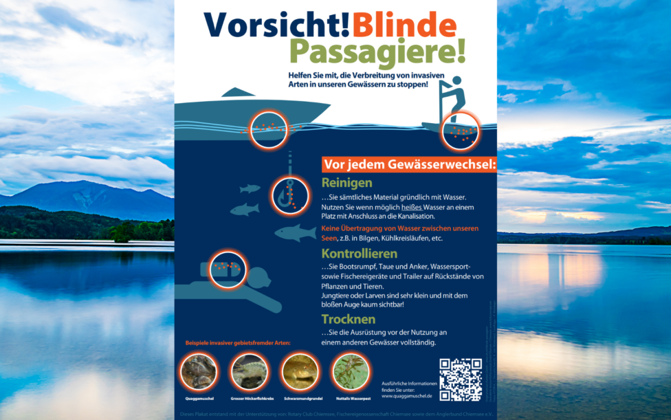 Plakat mit Hinweis auf die Gefahren der Quaggamuschel. Im Hintergurnd der Staffelsee.