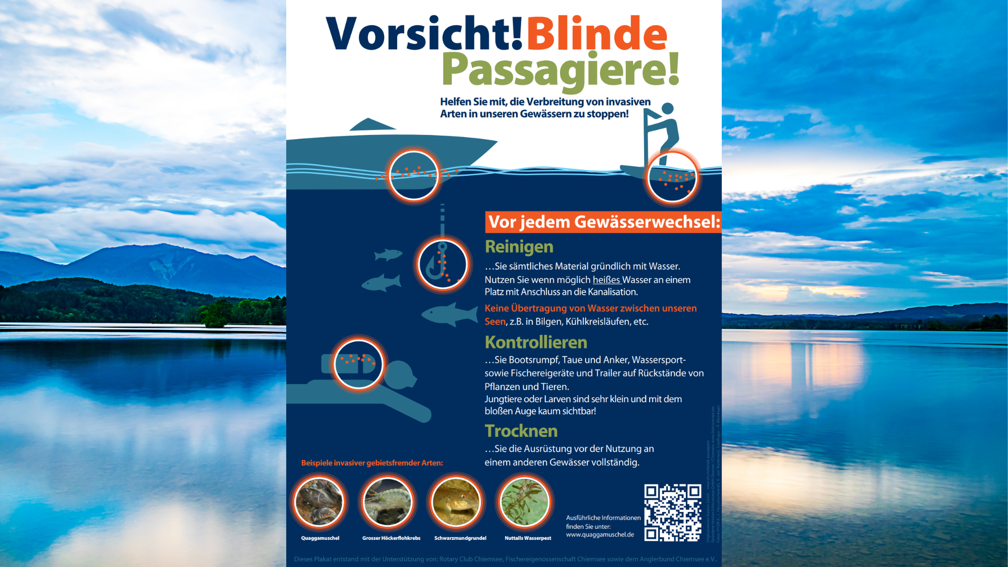 Plakat mit Hinweis auf die Gefahren der Quaggamuschel. Im Hintergurnd der Staffelsee.