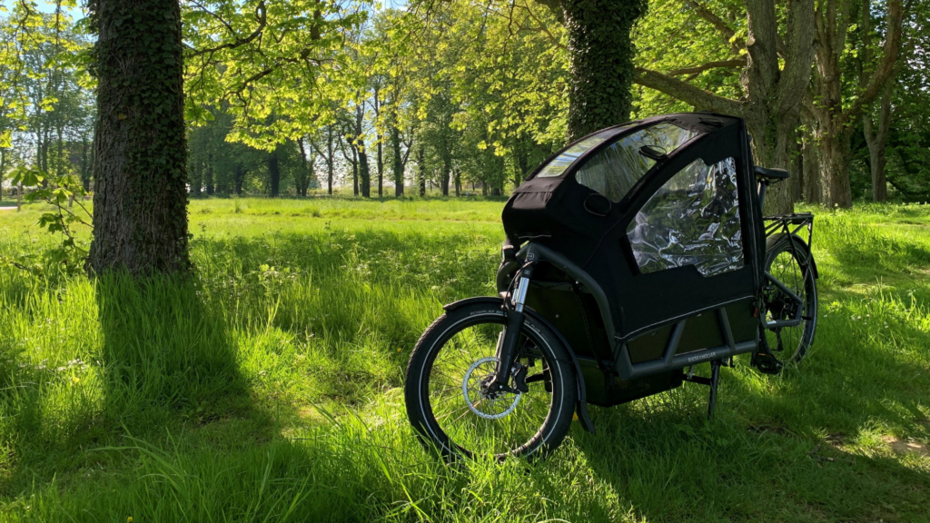 Ein E-Bike Lastenrad steht auf einer Wiese mit zwei Bäumen.